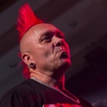 The Exploited